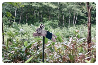 �؂̊Ԃɓe�I���̂Q