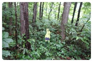 �؂̊Ԃɓe�I���̂P