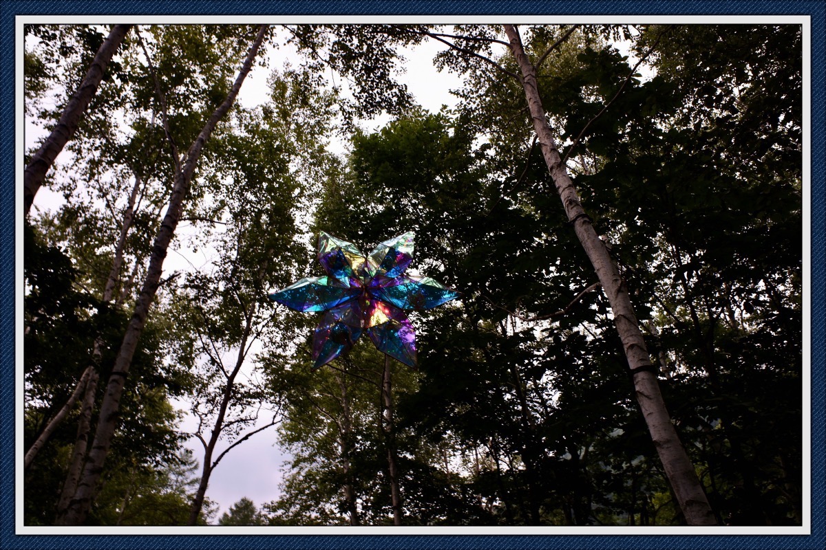 やはり森の中は涼しい