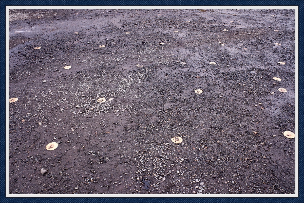 去年の名残でWHITEの地面に鋲が