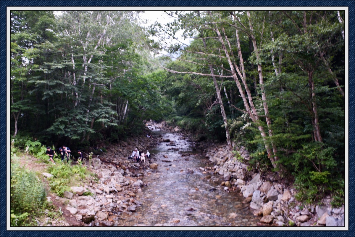 川の上流でもはしゃいでる皆様