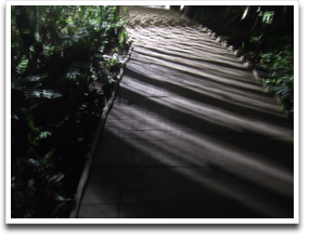 �~���[�{�[���̍q�Վc��BOARD WALK�P