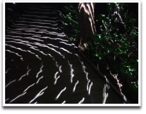 �~���[�{�[���̍q�Վc��BOARD WALK�Q