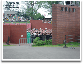 ���Ԃ��猩����q