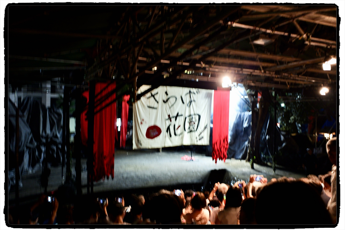 自分でもビックリするぐらいのピントな「さらば花園」 自分でもビックリするぐらいのピントな「さらば花園」