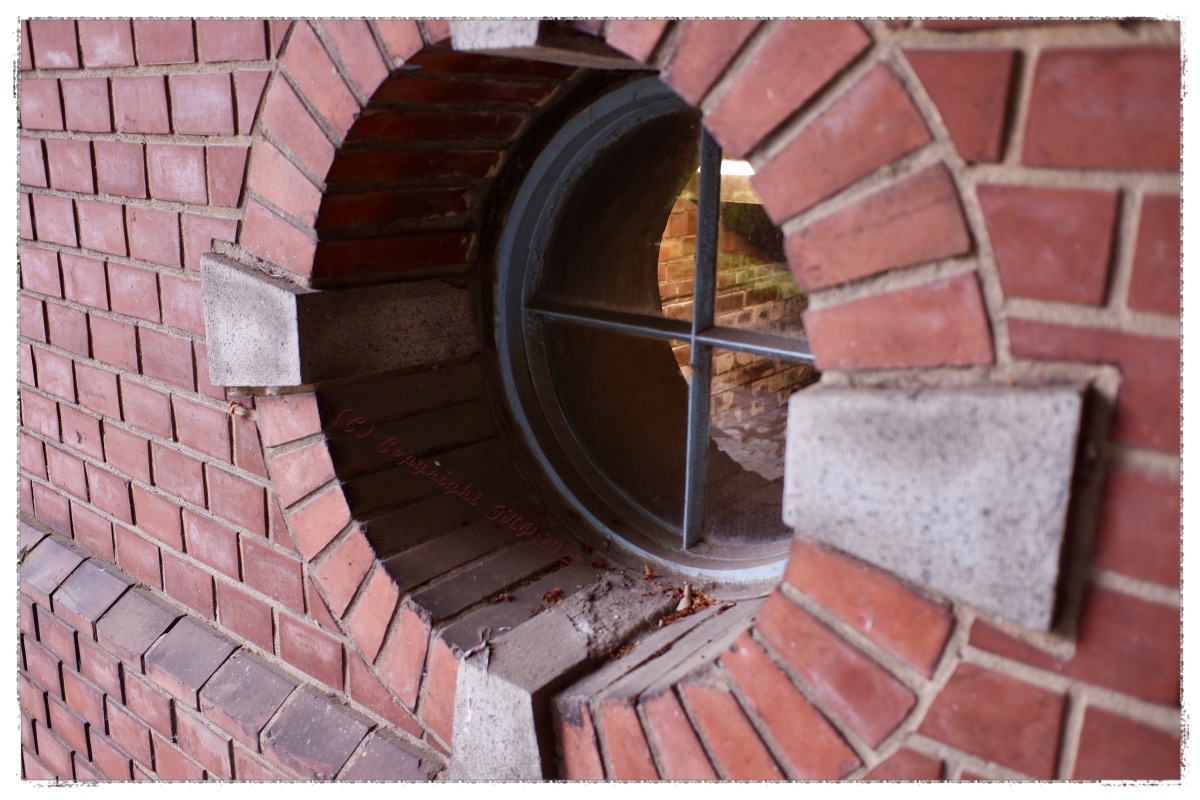 こゆ丸窓、東京駅もだけど萌えるよね