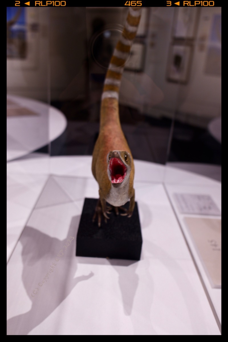 噛みつくぞこの野郎！