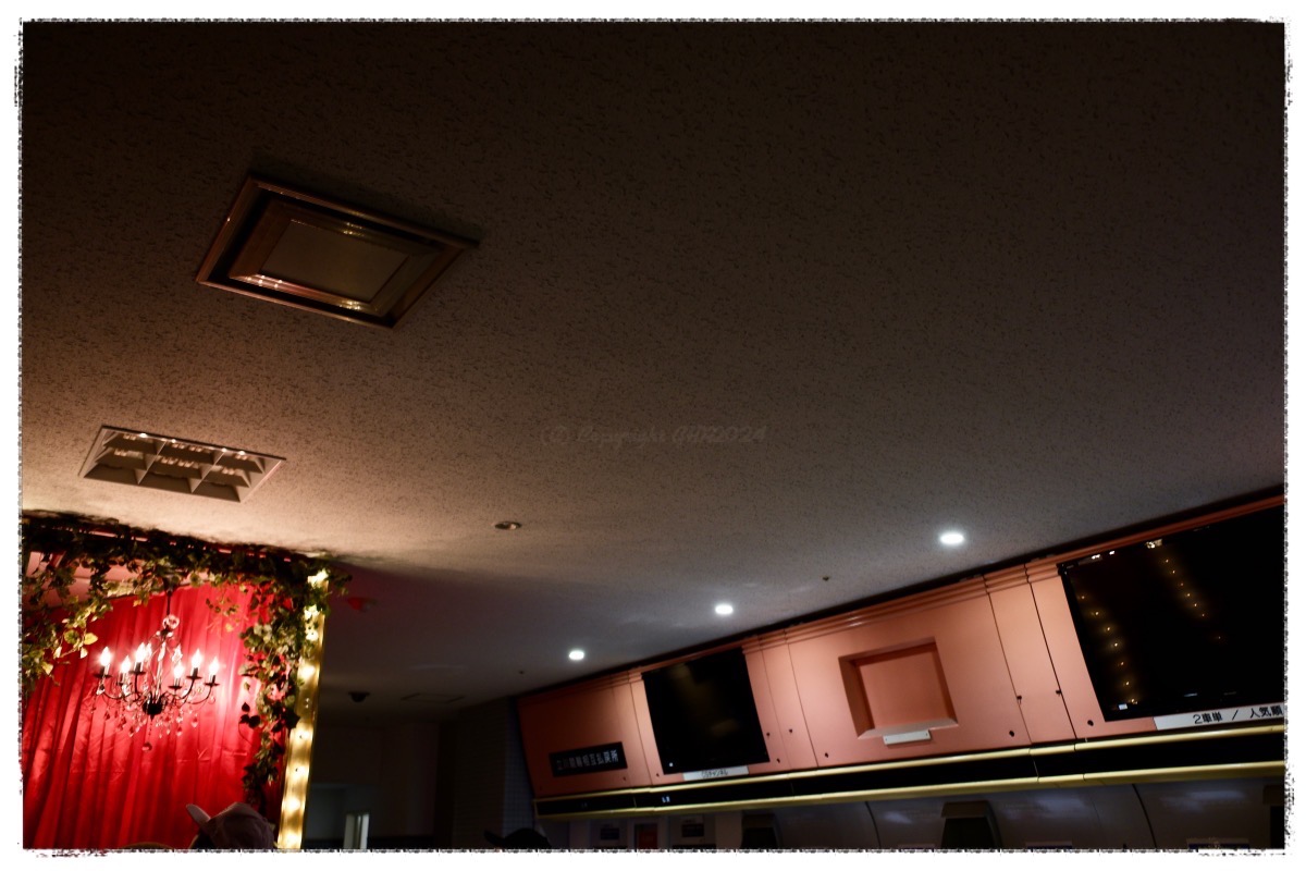 もちろん、オッズは表示されていない