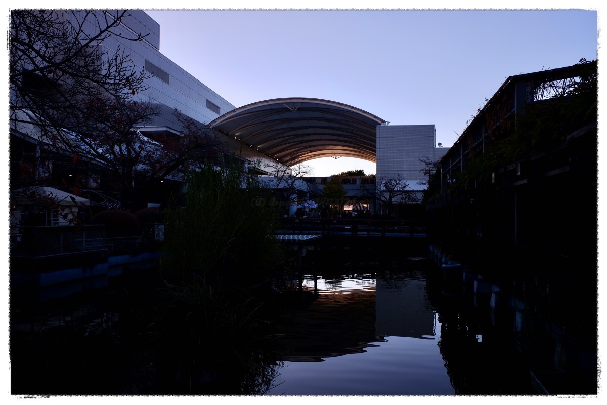 競輪場に池があるとは