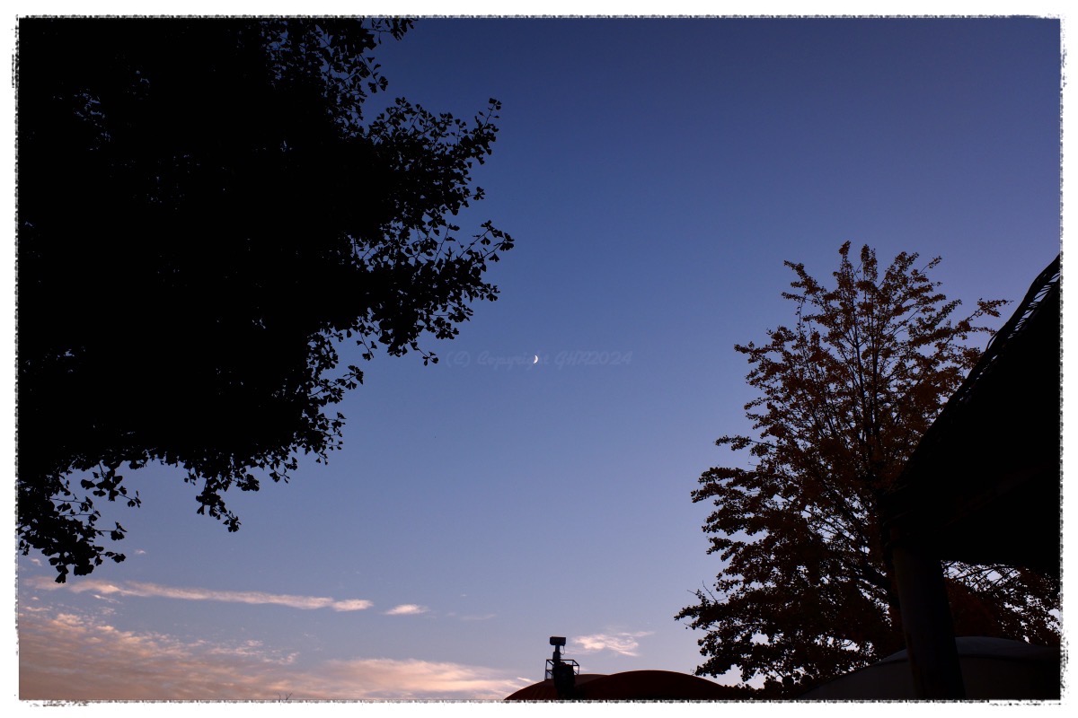 今日は綺麗な三日月