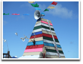 PROVO���΂̎O�p�����͂܂�Œ��є��̂悤