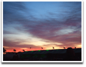 �邪������