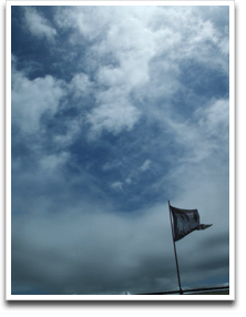 ������Ǝ�������点�ΐ󂪁I