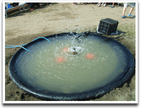 �n���ȕ���