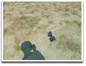 �Ȃɗ��Ƃ��Ă񂾂�