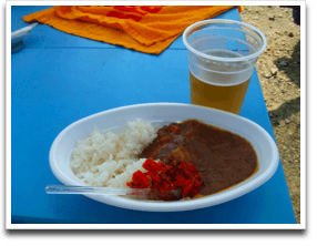 �ڊo�߂̈�t�����J���[