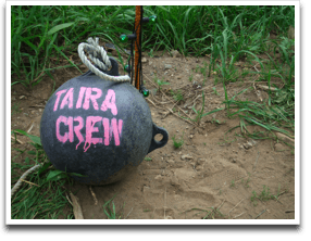 FOREST�����̓S��