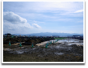 �z���g�A�݂�Ȏʐ^�B���Ă�