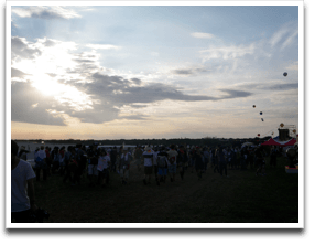 ������GREEN TOPE����