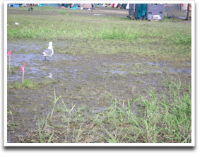 ���ɃJ�������~�藧����