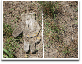 �E�`�̃e���g�G���A�ɌR�肪�����Ă���