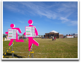 CRYSTAL PALACE���炾�Ƃ���Ȋ���