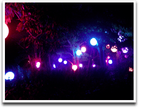 ����I�ɐF���ς�鋅��Ɩ�