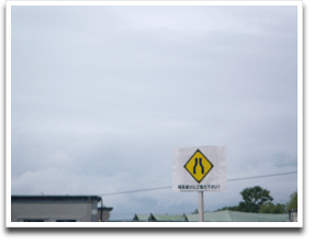 ���������Ƃ������Ă�������Ă���