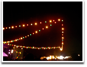 ��̃{�w�~�A���͂Ȃ񂾂��C�J�ނ苙�D�݂����i�҂āj