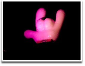 ���Ȃ��Ǝv���Ă��O���V�̓��X�o���`�F�b�N�̂��΂ɂ����I