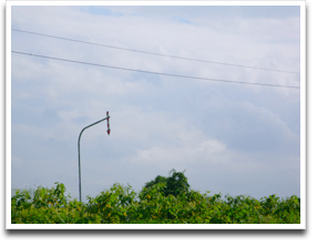 �w���������ĂȂ����ǁA���̎��ԑтɃ`���b�g�����`�[�����ĂȂ������H