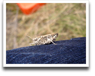 ���\�A���O���ɋ�J������B�s���g���Â��Ȃ��E�E�E