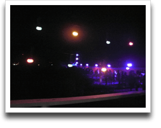 �N�����N���猩����i