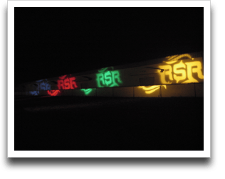 �ׂ̑q�ɂɉf���o����郍�S