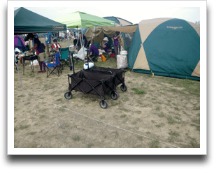 ���N�������񌩂��������̃J�[�g�A�~�����B