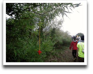 �N�����������Ԃ��\����