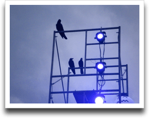 �J���X�̐e�q���V�тɗ��Ă܂���