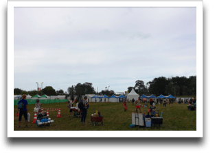 �������āA�g�C���s��ł͖����ʐ^