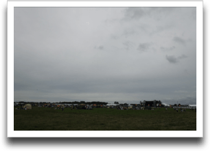 �T���X�e�������Ƀe���g�G���A��