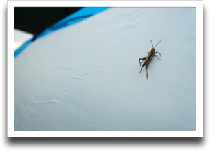 ���N�B�ꂽ��囂͏�����