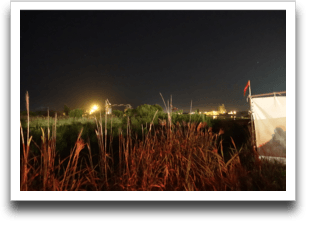 �Ύ�p�V�`�͂��̎��Ԃ��d����