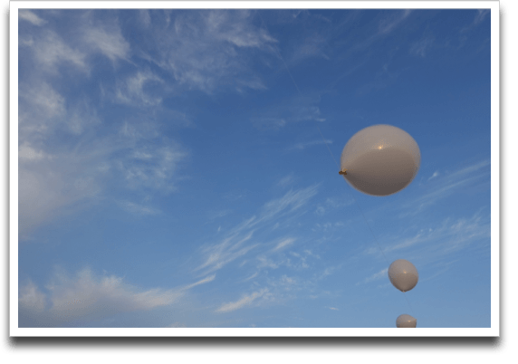 ���Ă���ɕ��D