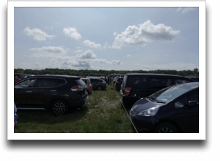 �ł��A���ۂ͖������肷��񂾂��