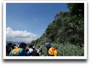 �H�A�f�J���ˁH