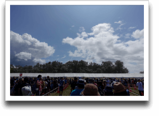 ����ȃL�^�L�c�l�s��