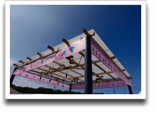 �����V�C����Ȃ�