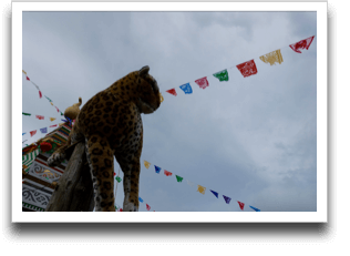 �Ղ��񍂂��Ƃ���ɂ���