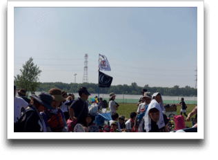 �I�����J���ƃU�`�����̊��i���������Ă悭�����Ȃ����ǁj