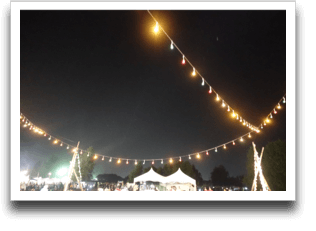 ���FOREST�E�G