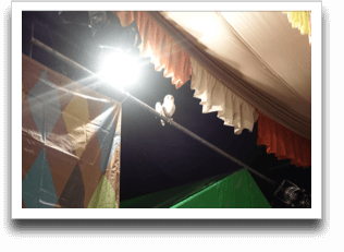 ���������I